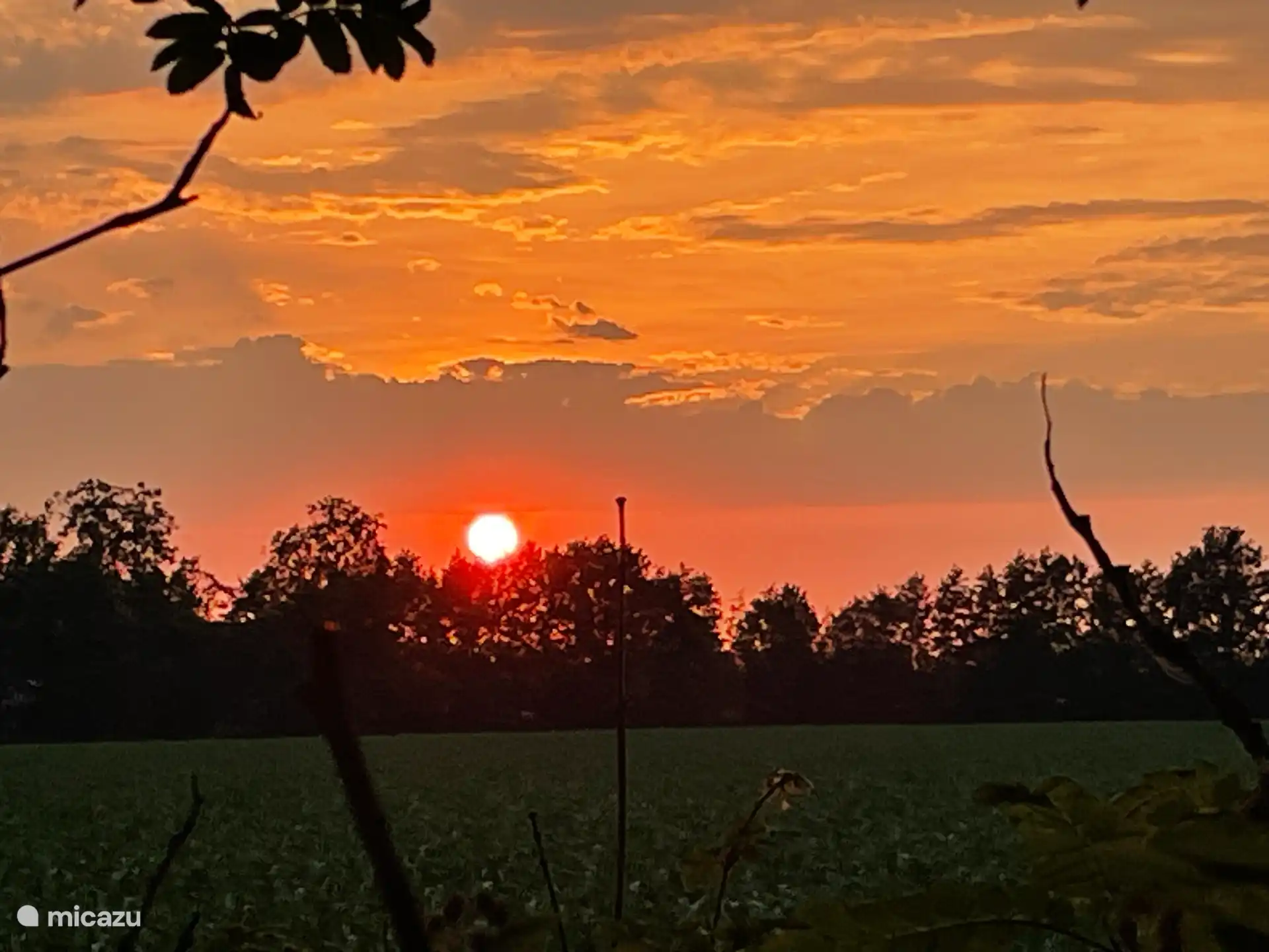 Vue sur la prairie à côté du cottage. Regardez le soleil se coucher lentement. 