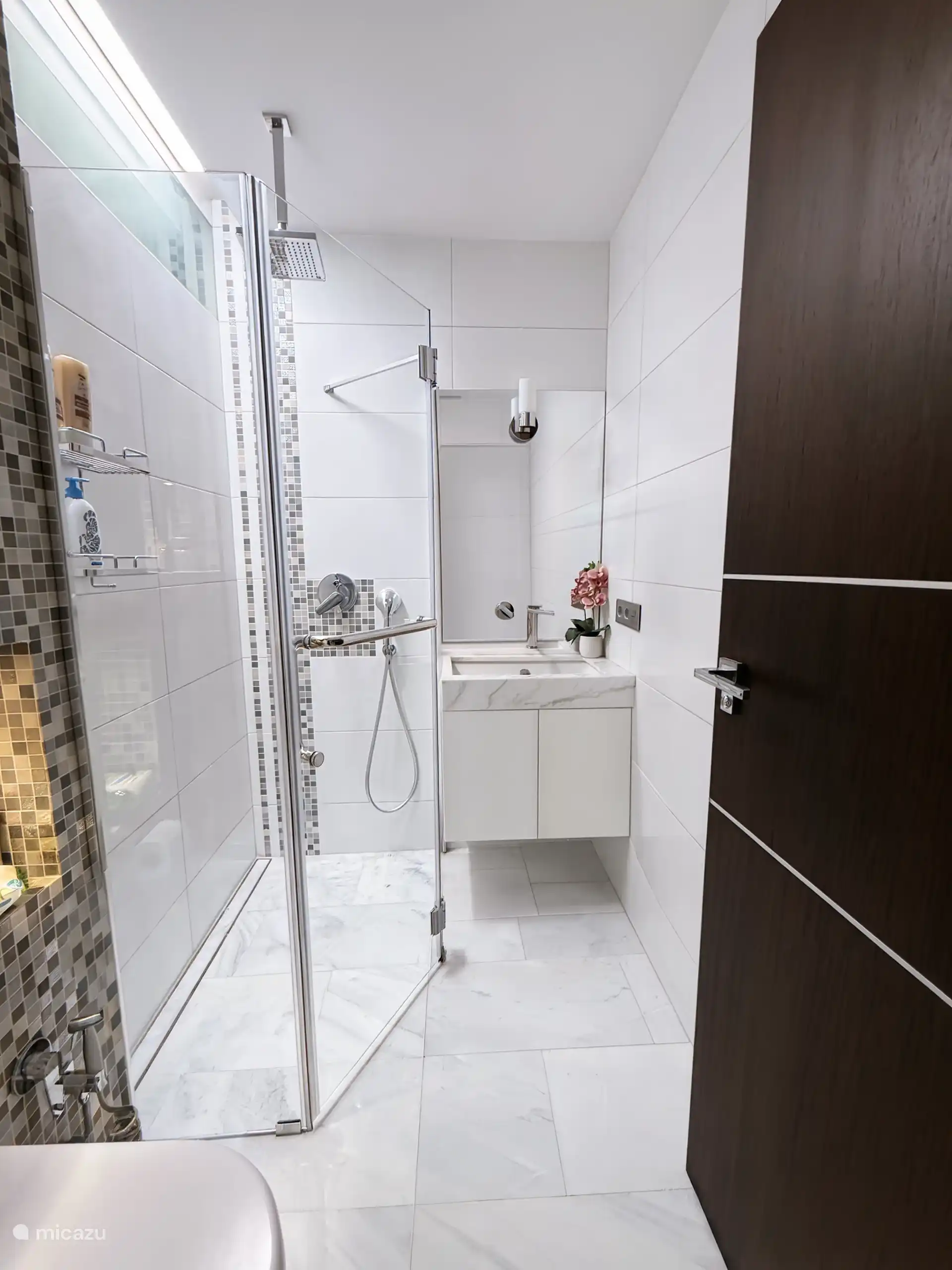 Eigen badkamer in slaapkamer 2 op de begane grond