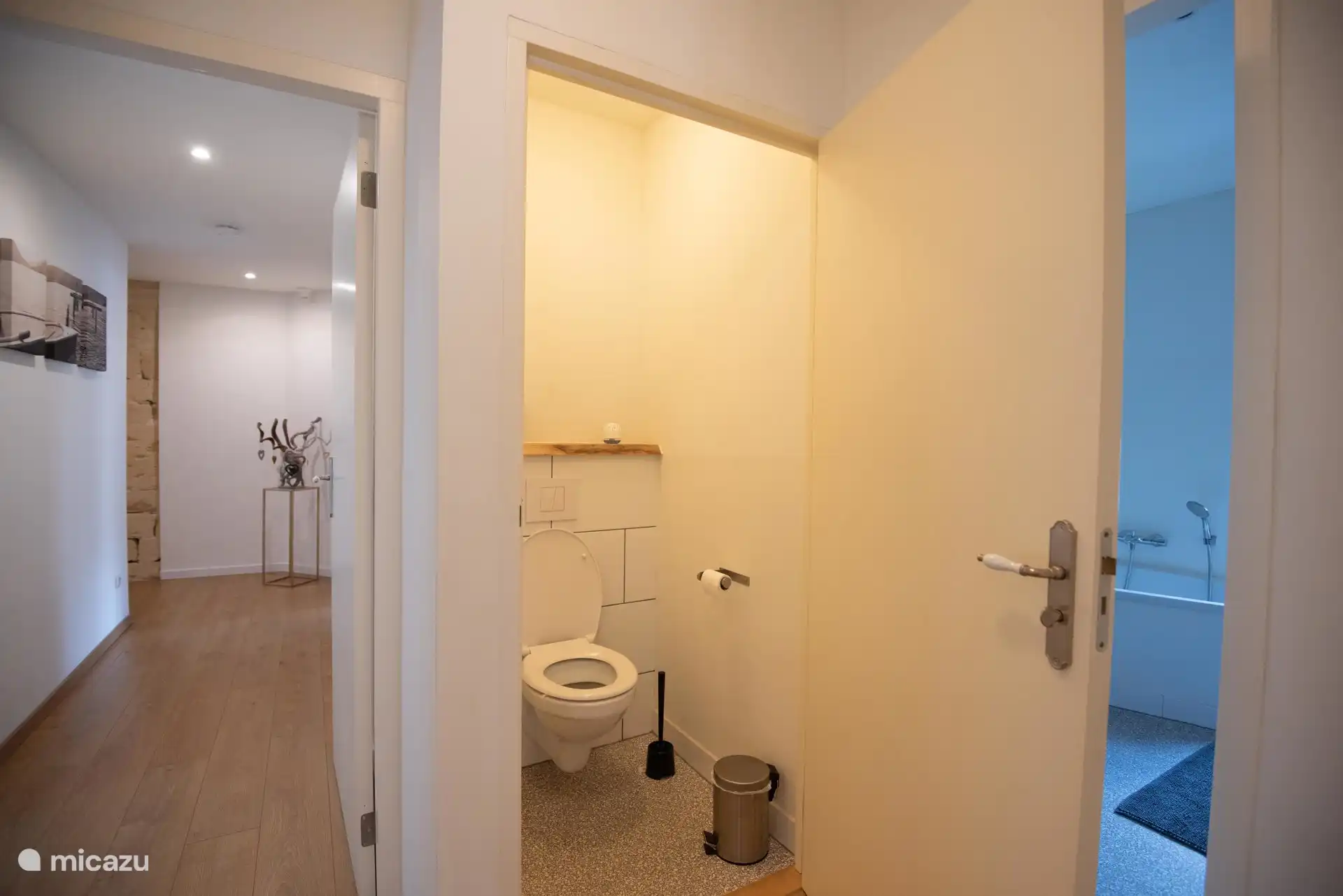 Apart toilet