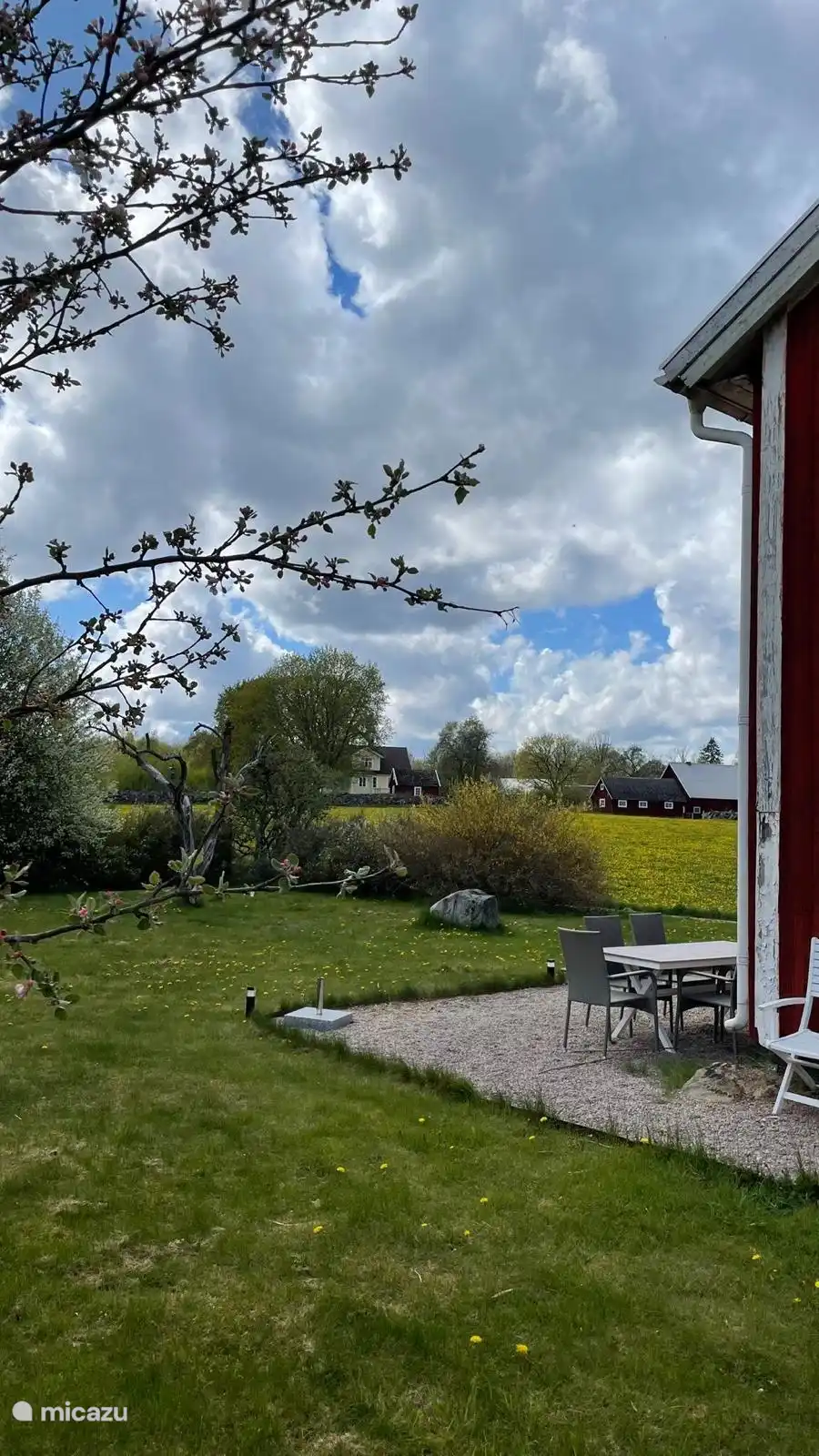 Tuin
