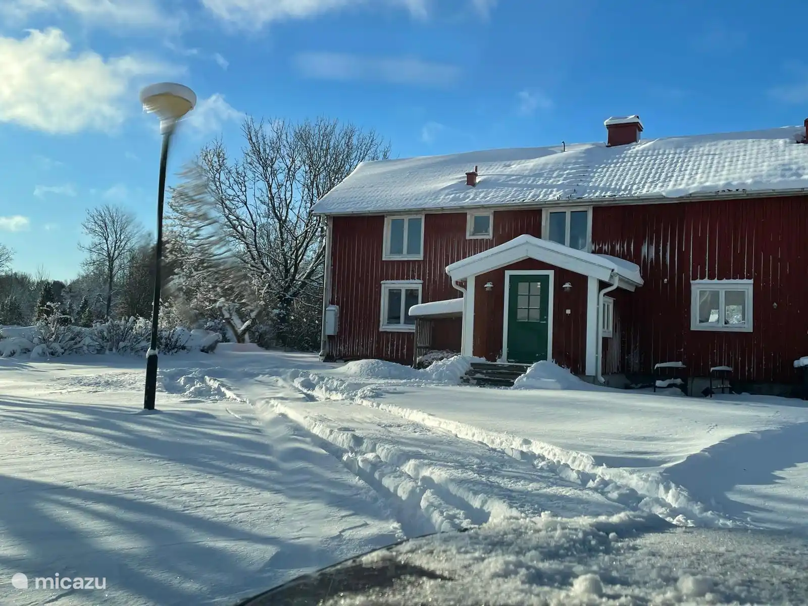 Winter picture