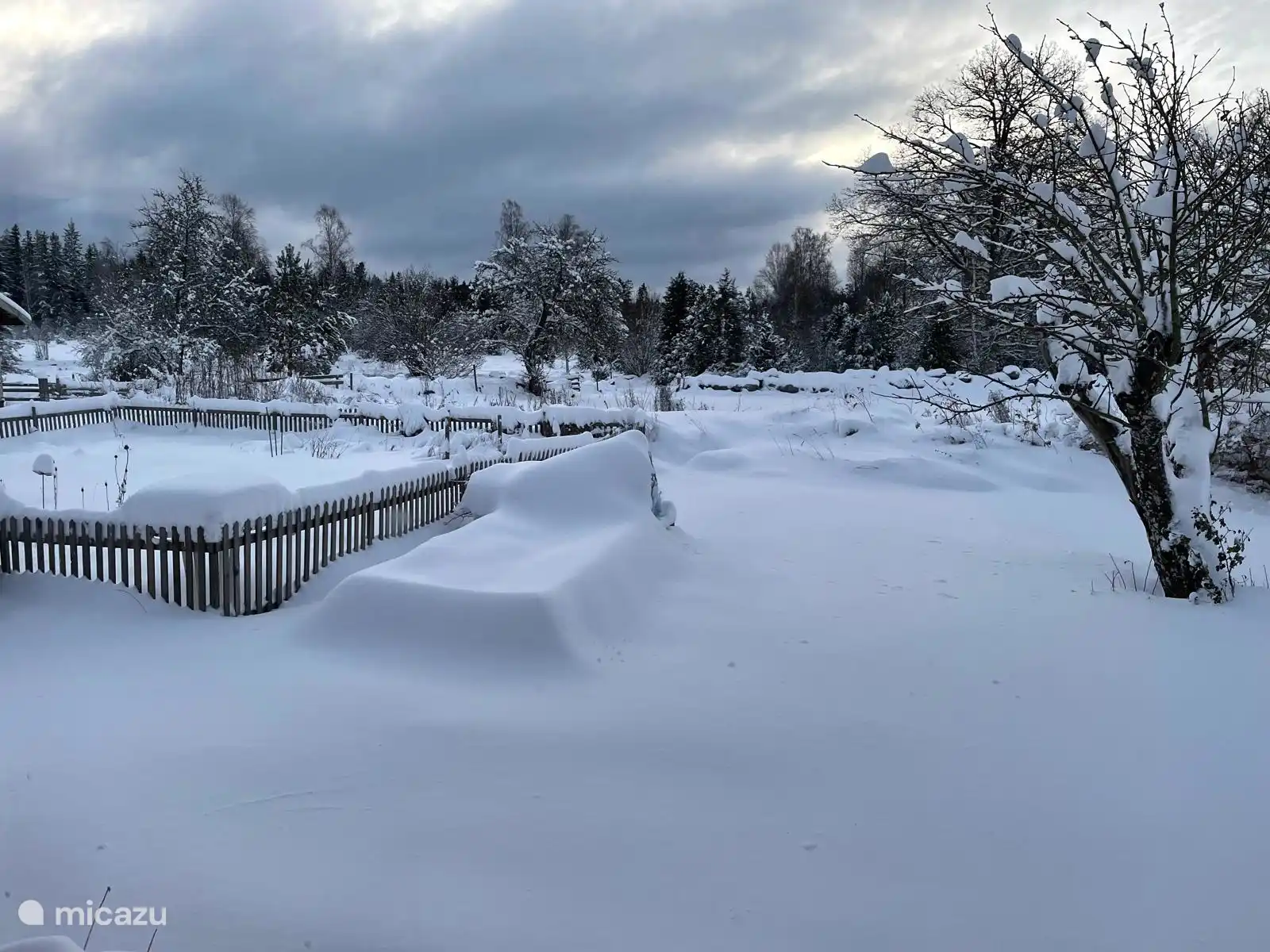 Garden under a layer of snow