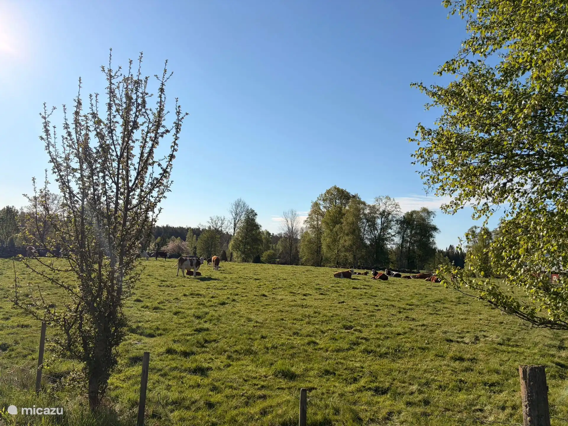 Uitzicht 