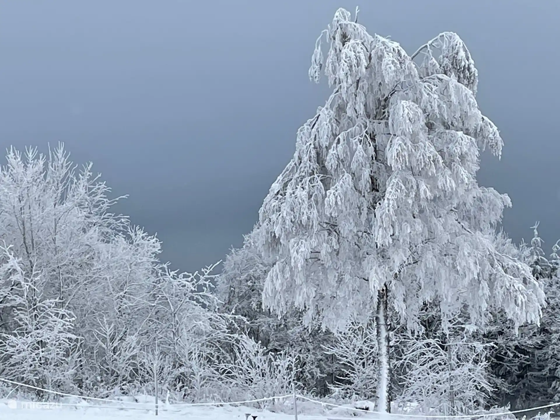 Winteransicht