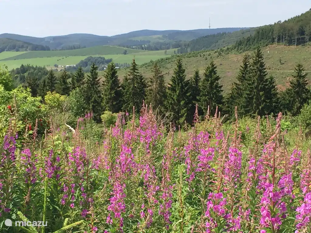 Sommer 
