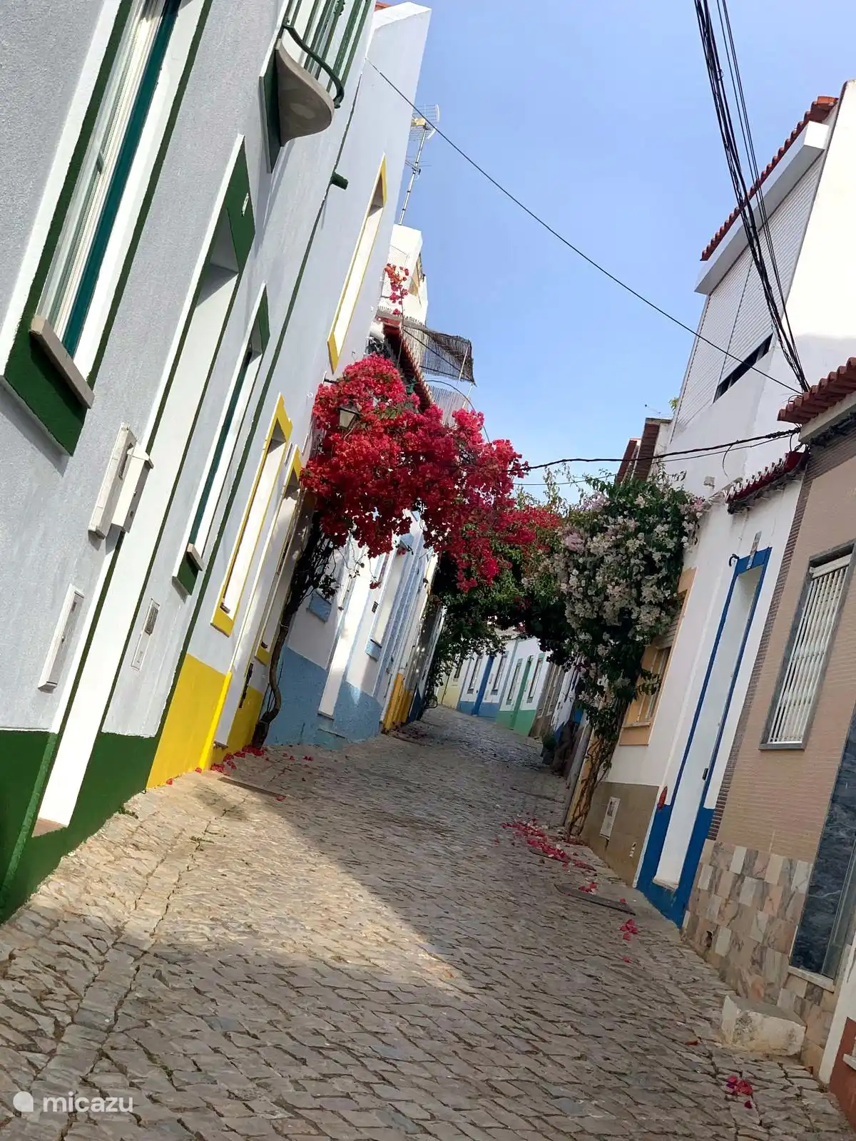 Calle de las Flores 