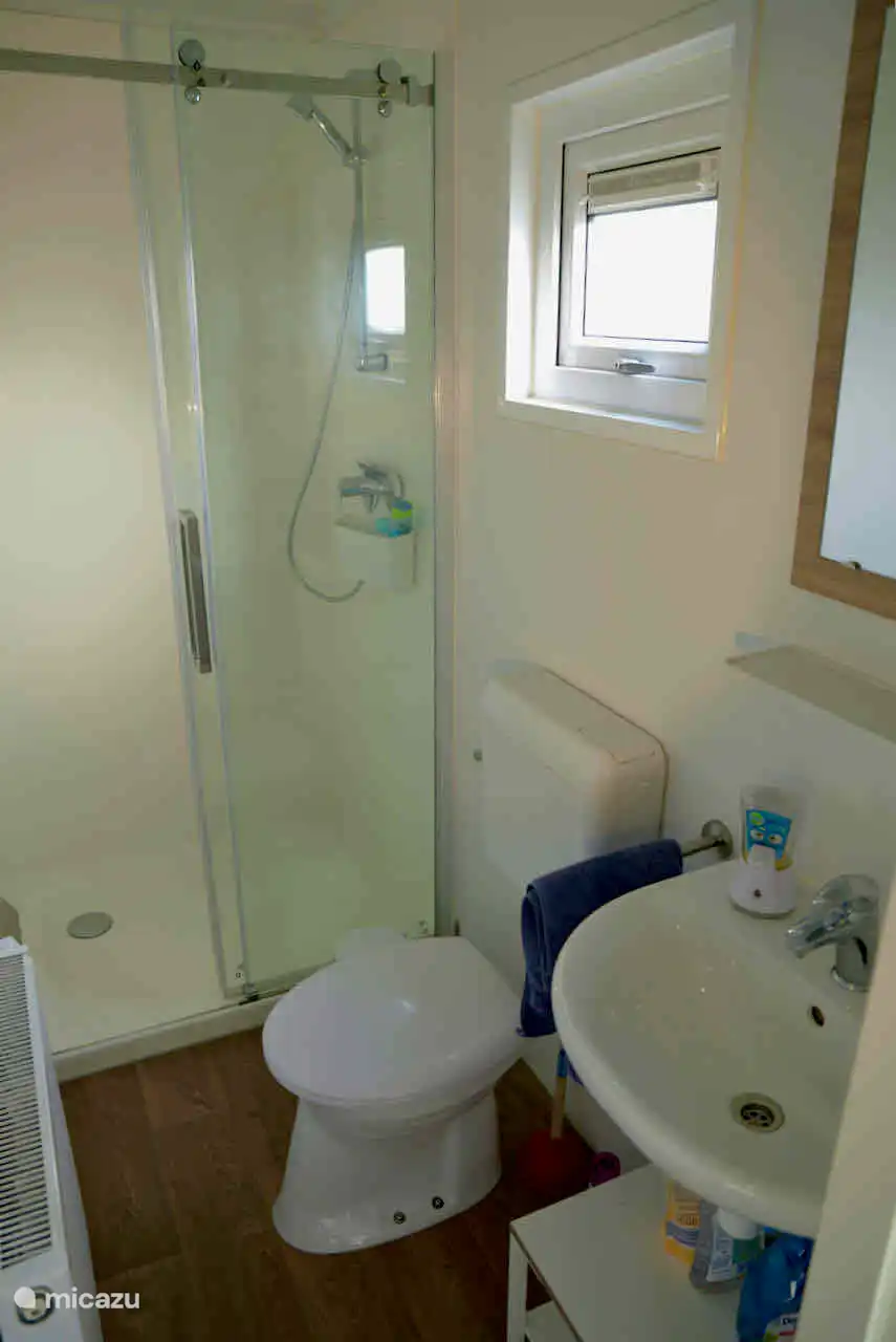 Salle de bain avec douche et toilettes