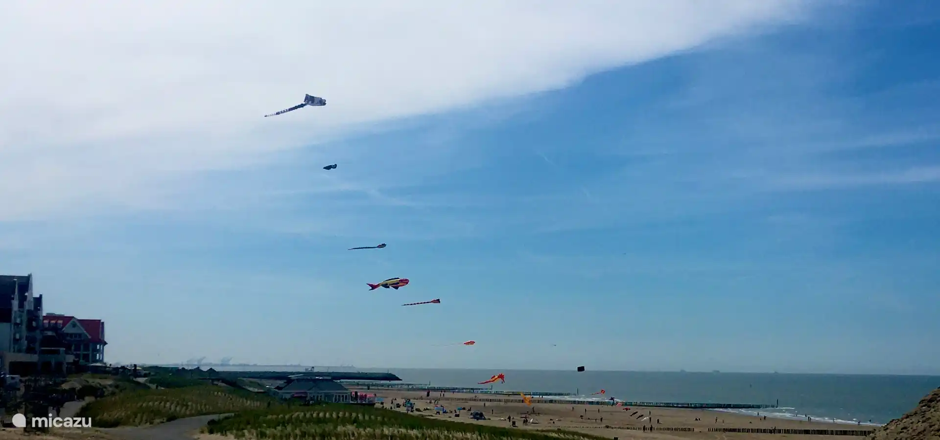 Festival du Cerf-volant à Cadzand