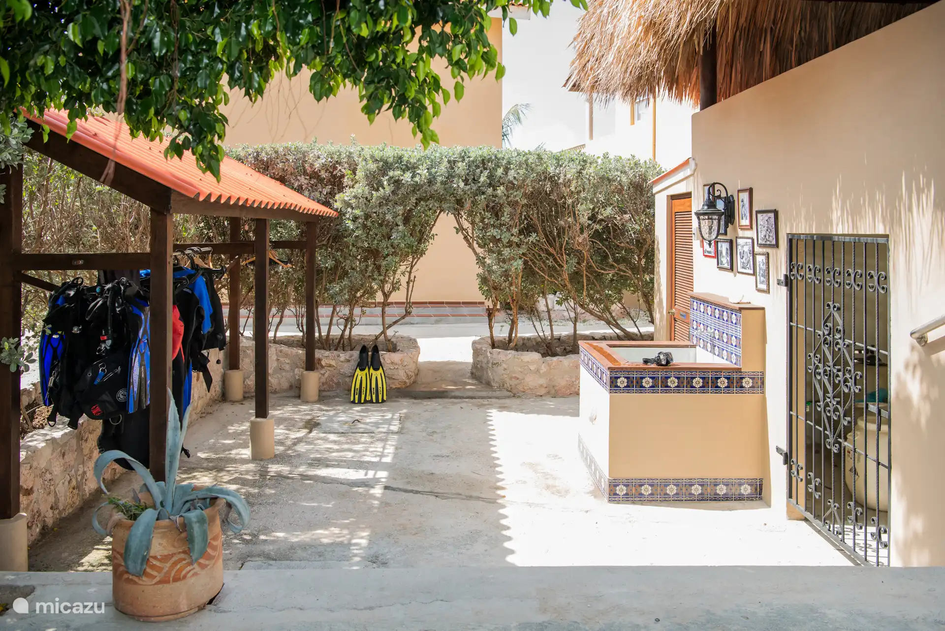 Alle Optionen für Taucher im Resort