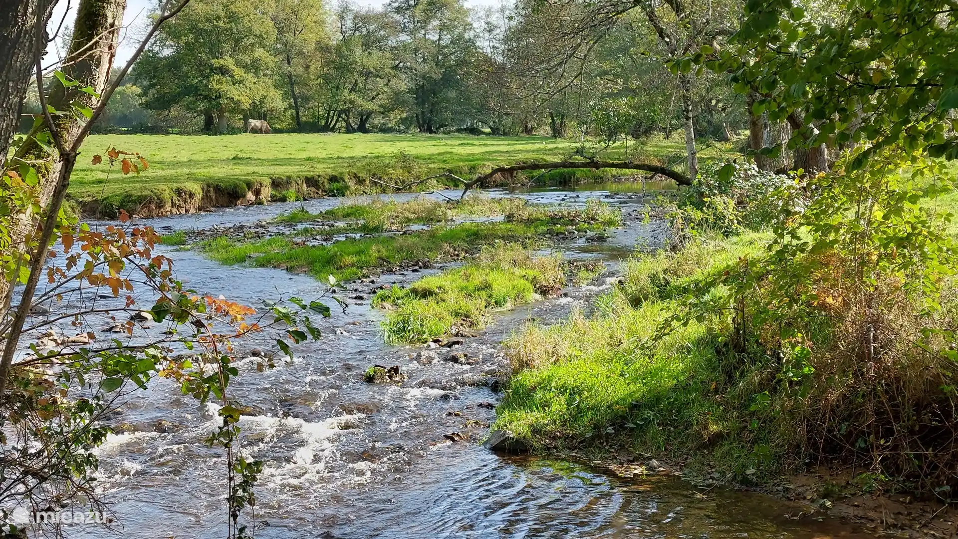 Río Dragne