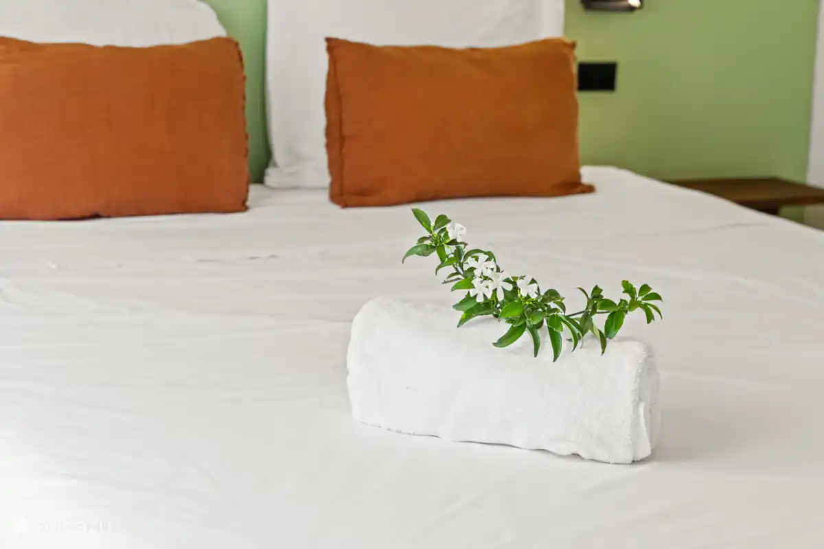 Cama