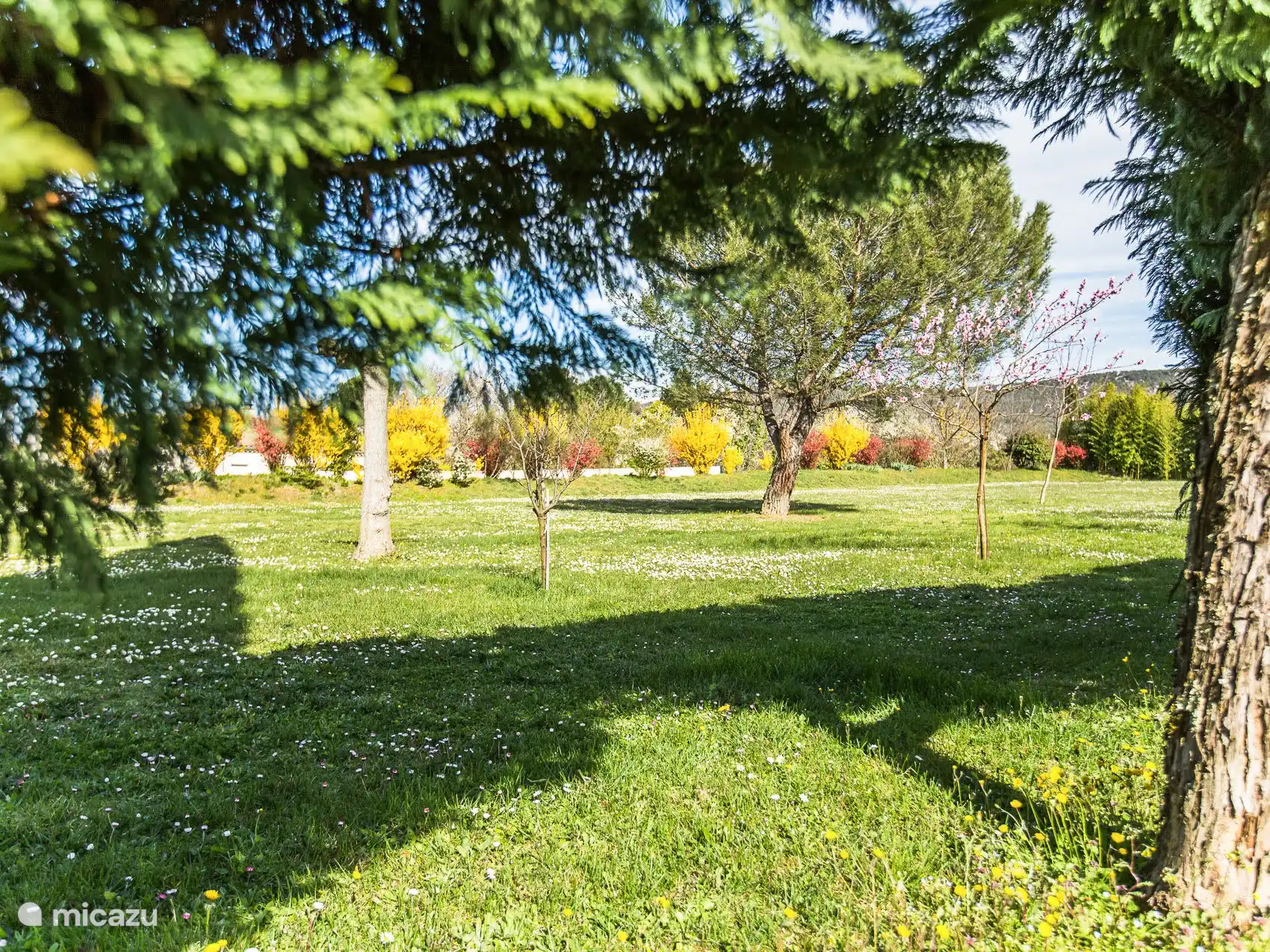 Tuin in het voorjaar