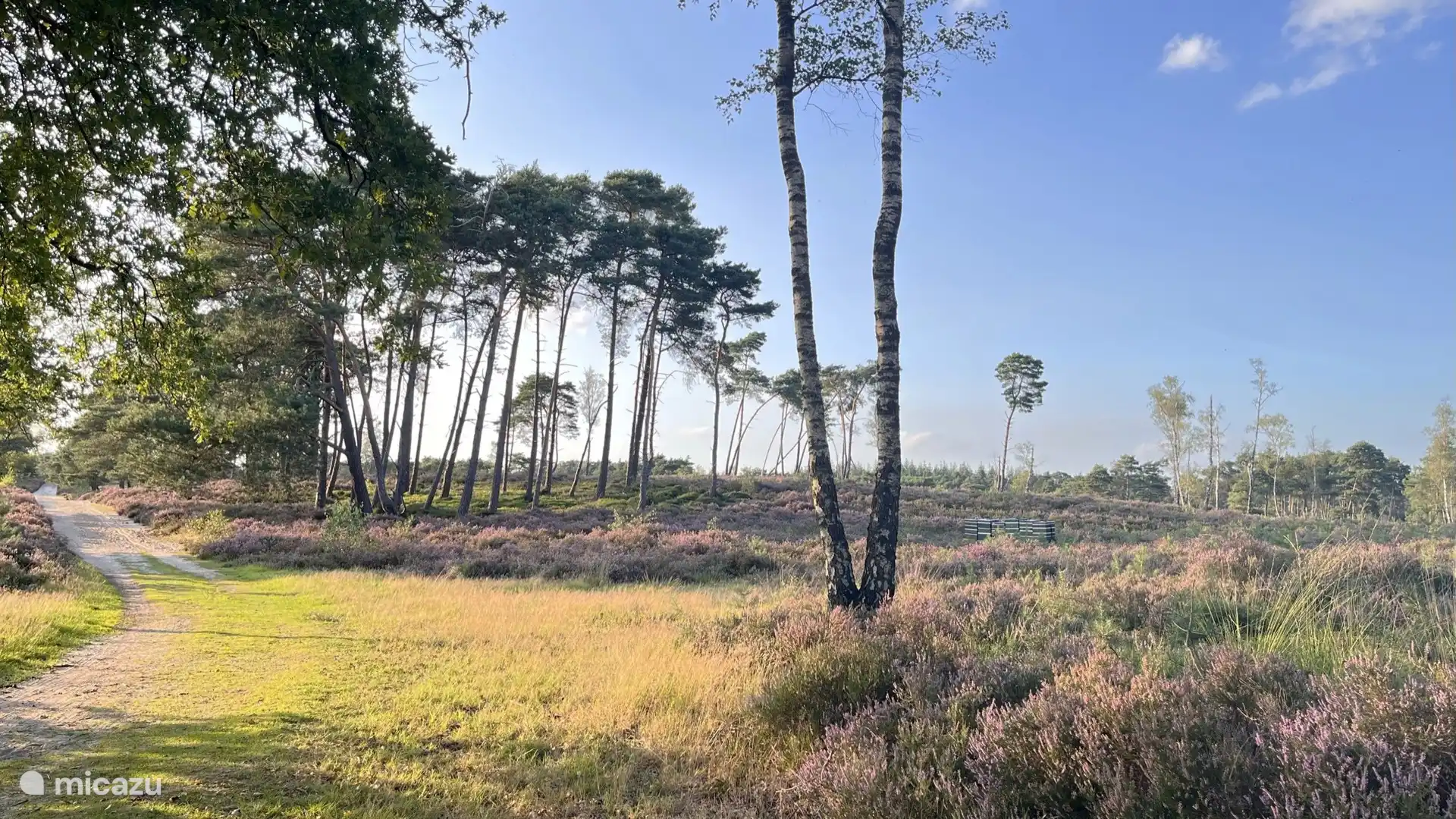 Wandelen en fietsen over Heidevelden en bossen direct vanaf de Boschalet.