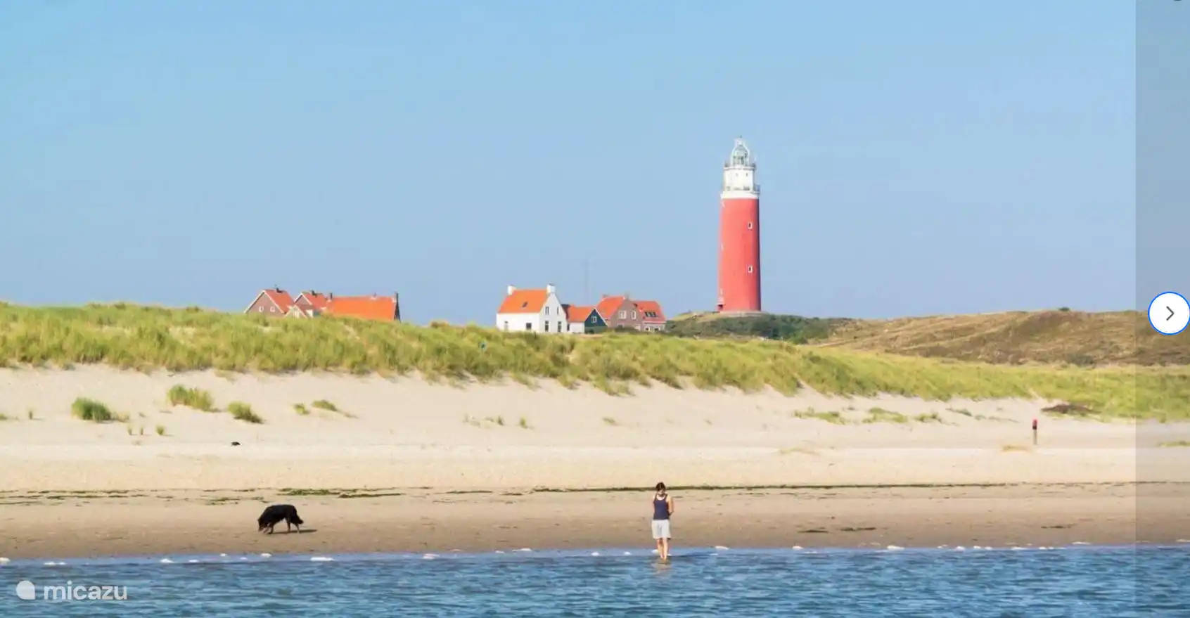 Entlang der schönen Strände von Zeeland spazieren.
