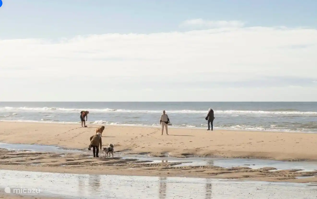 Es ist jede Saison wunderschön am Strand. Immer Hoch- und Ebbe.
Es ist wunderbar, die Hunde in der Spätsaison spazieren zu gehen.