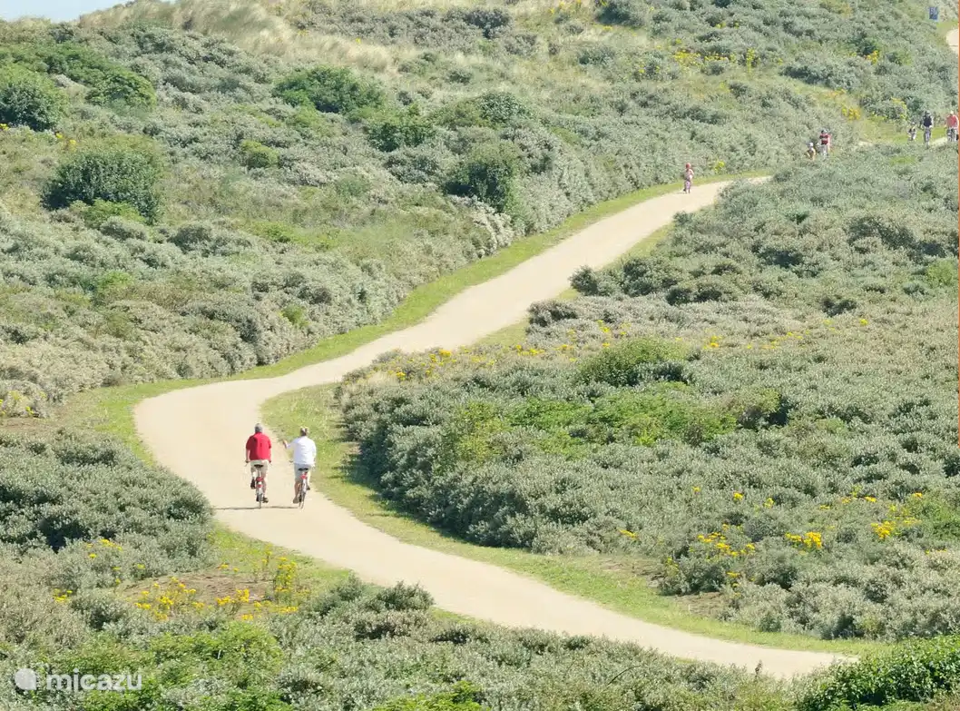 In den Dünen gibt es viele schöne Radwege