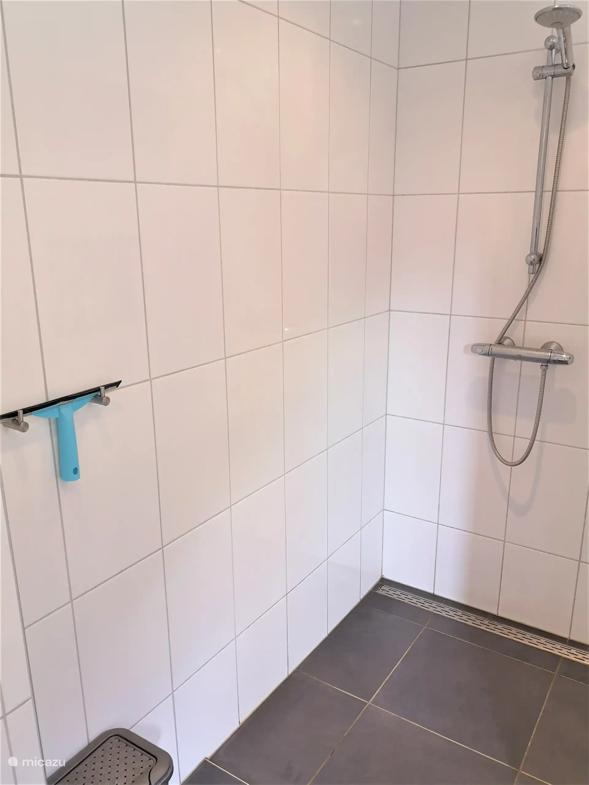 Begehbare Dusche mit modernem Abflussstreifen und Abzieher