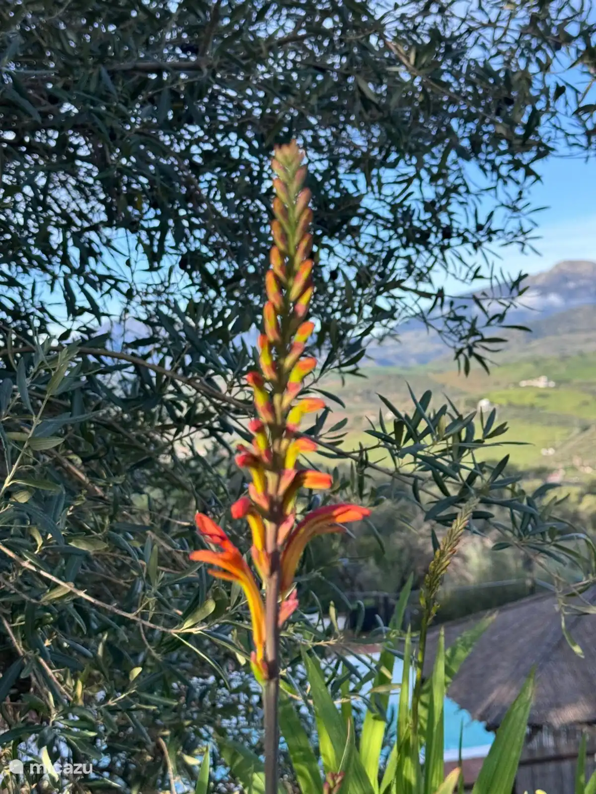 De natuur rondom Casa del Sueño.