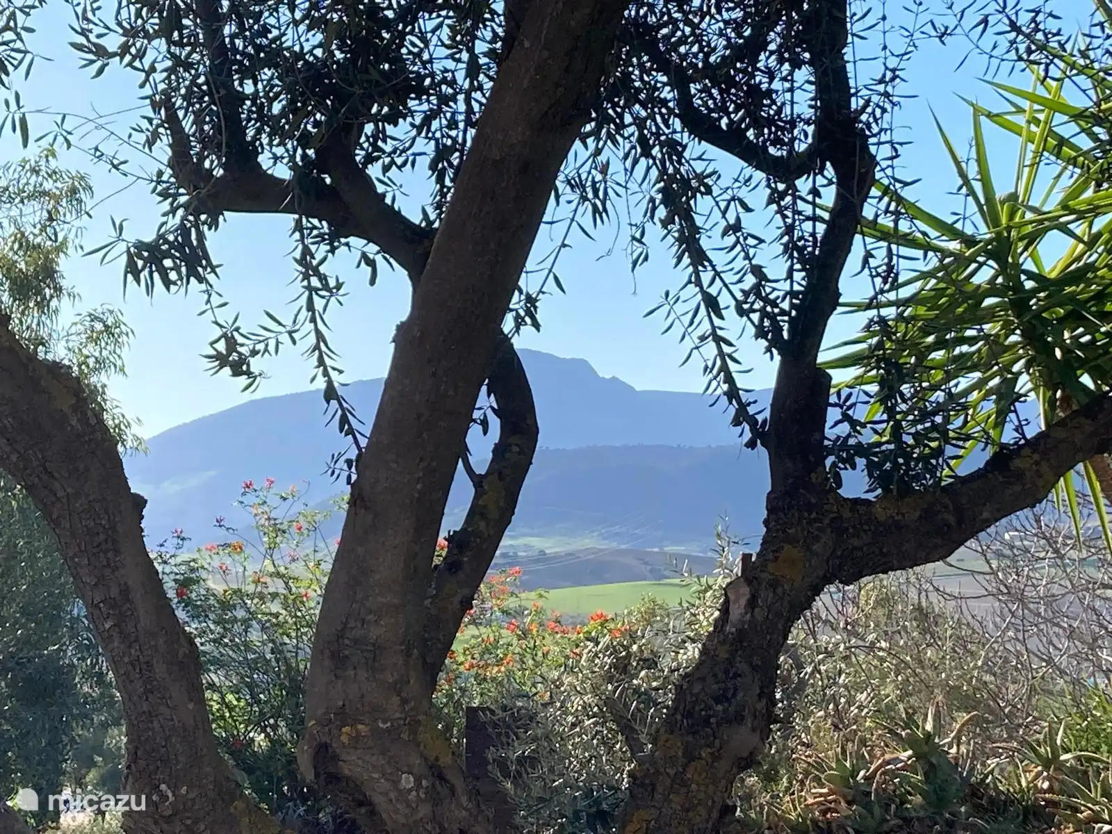 De natuur rondom Casa del Sueño.