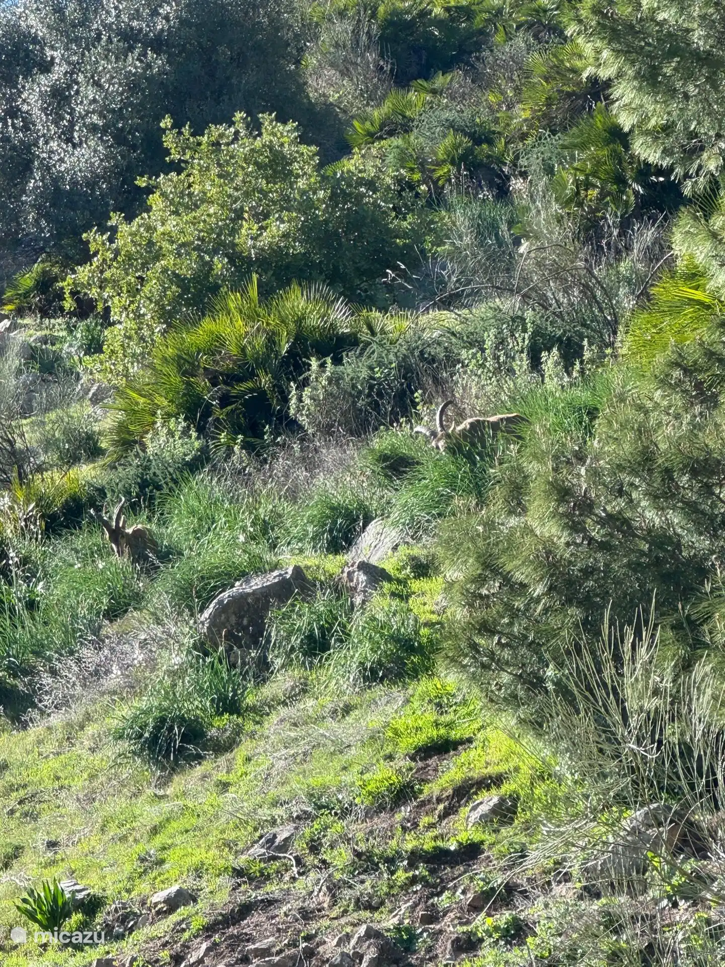 Een stukje puur Andalusië.