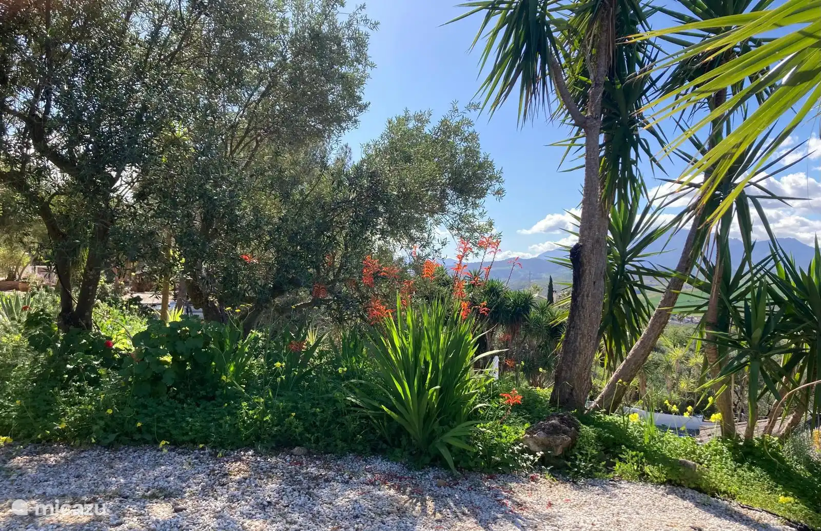 De natuur rondom Casa del Sueño.