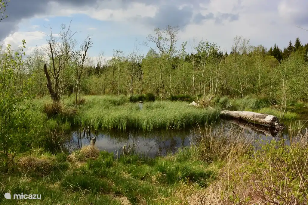 Parque Natural de los Pantanos Altos