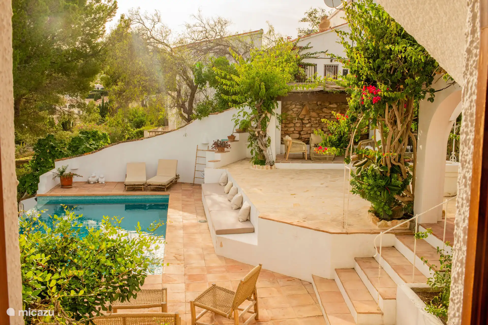 Garden and swimming pool