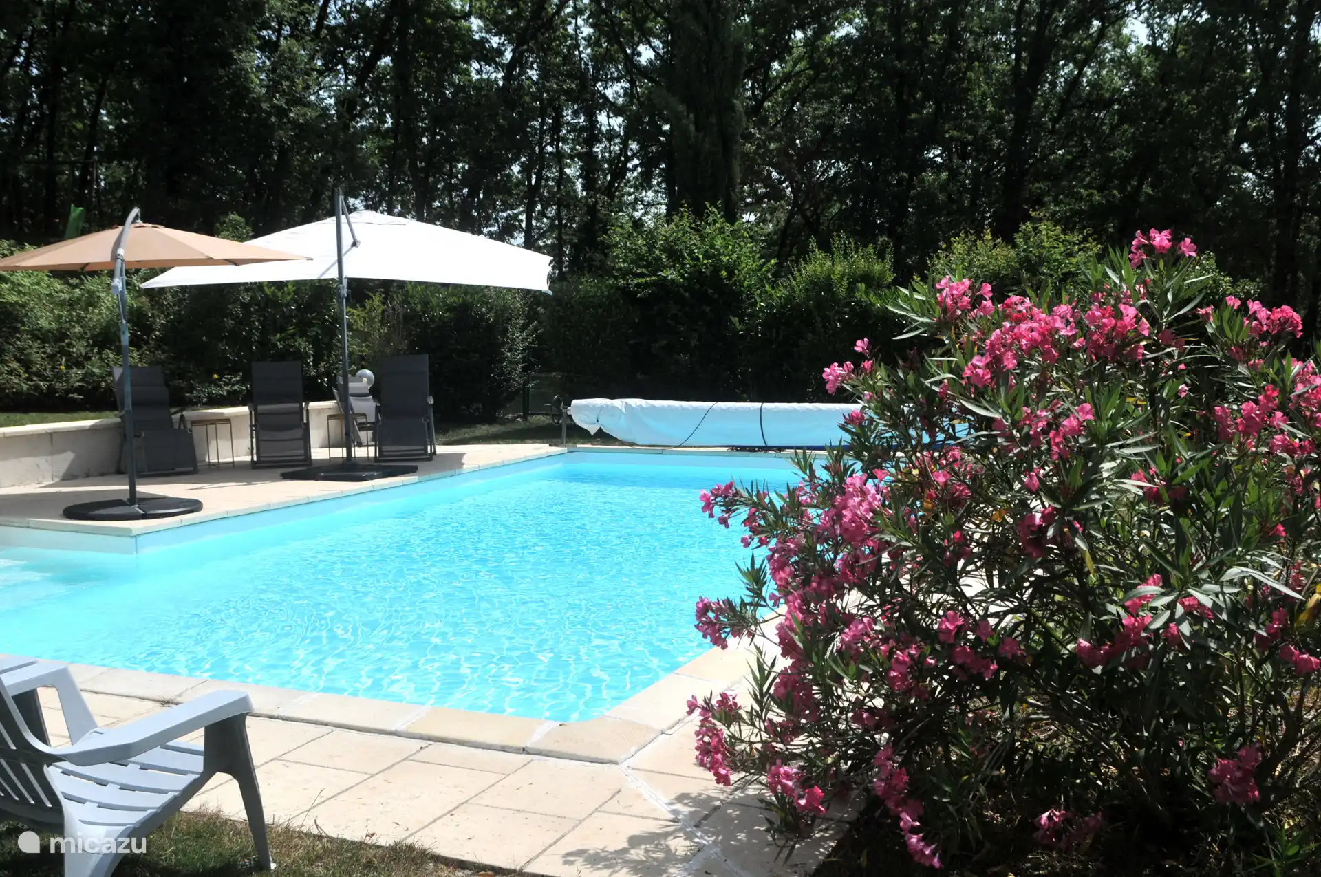 Piscine avec terrasse et chaises relaxantes avec parasols