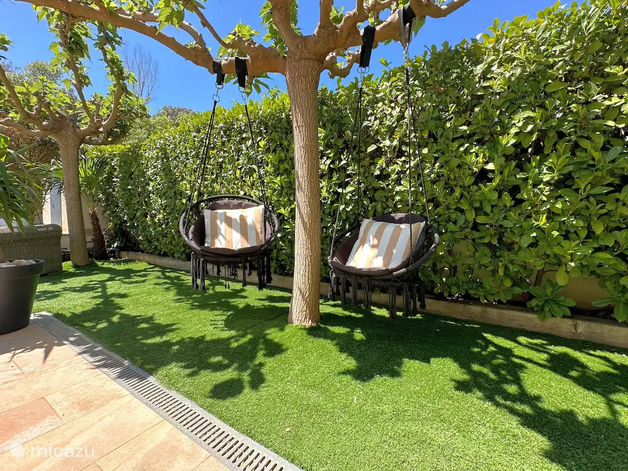 des chaises suspendues sur les arbres parasol