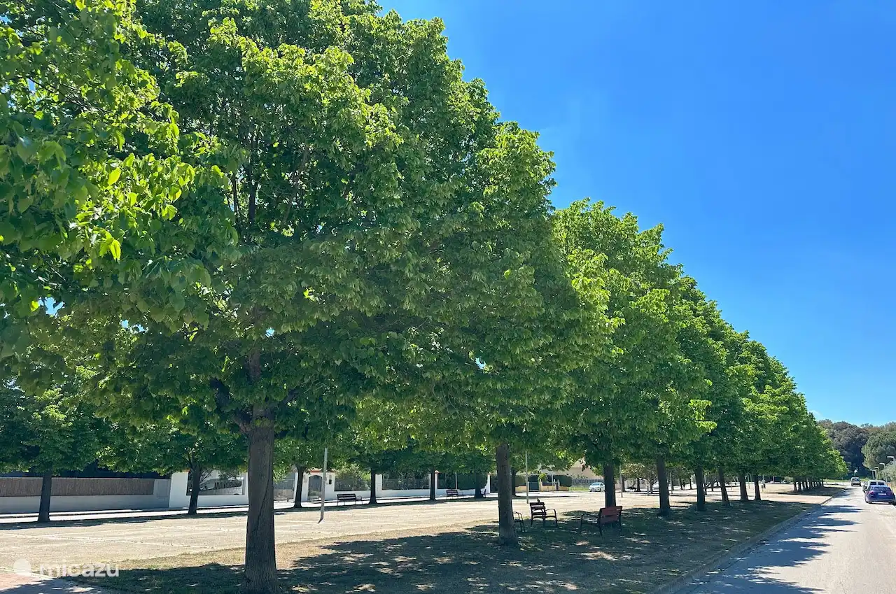C’est la rambla espagnole typique dans l’urbanisation de Mas Pau. Avec des bancs où vous pouvez vous détendre, surtout le soir.