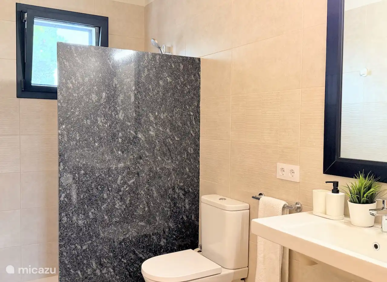 Luxurious bathroom with walk-in shower and toilet.