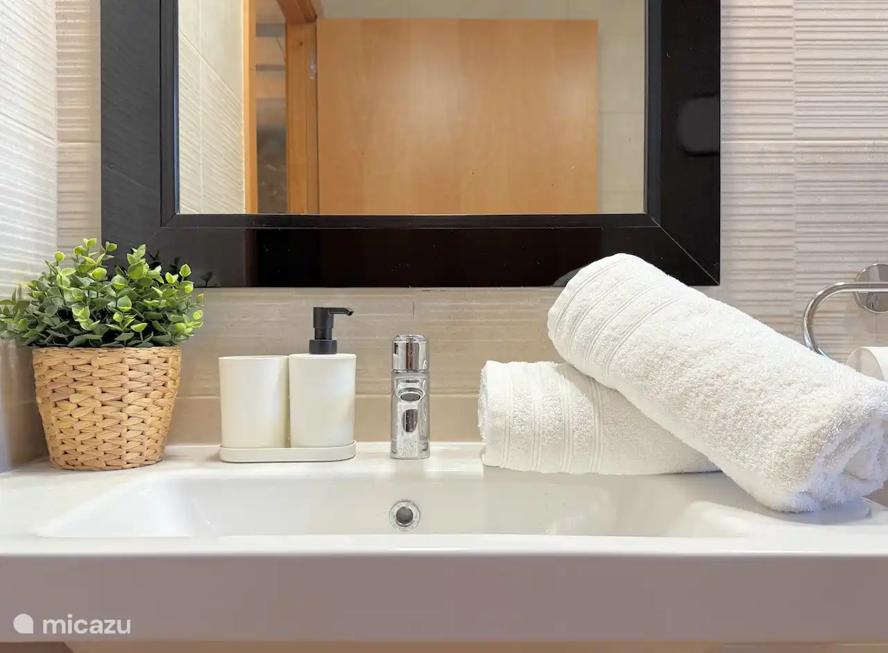 We provide sufficient bath linen as standard. (towels, guest towels, bath mat etc). Beach towels can be booked. First toll of toilet paper is available.