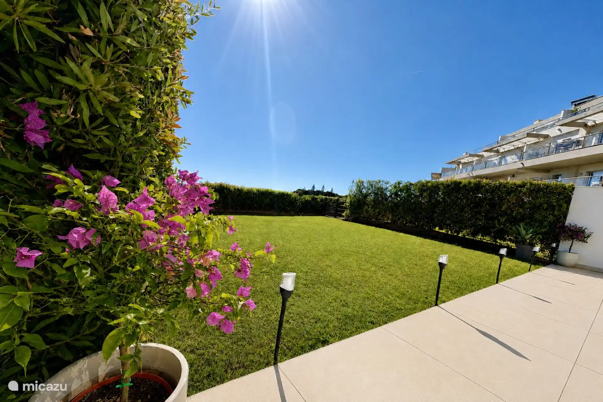 South-facing garden with flowering bougainvillea