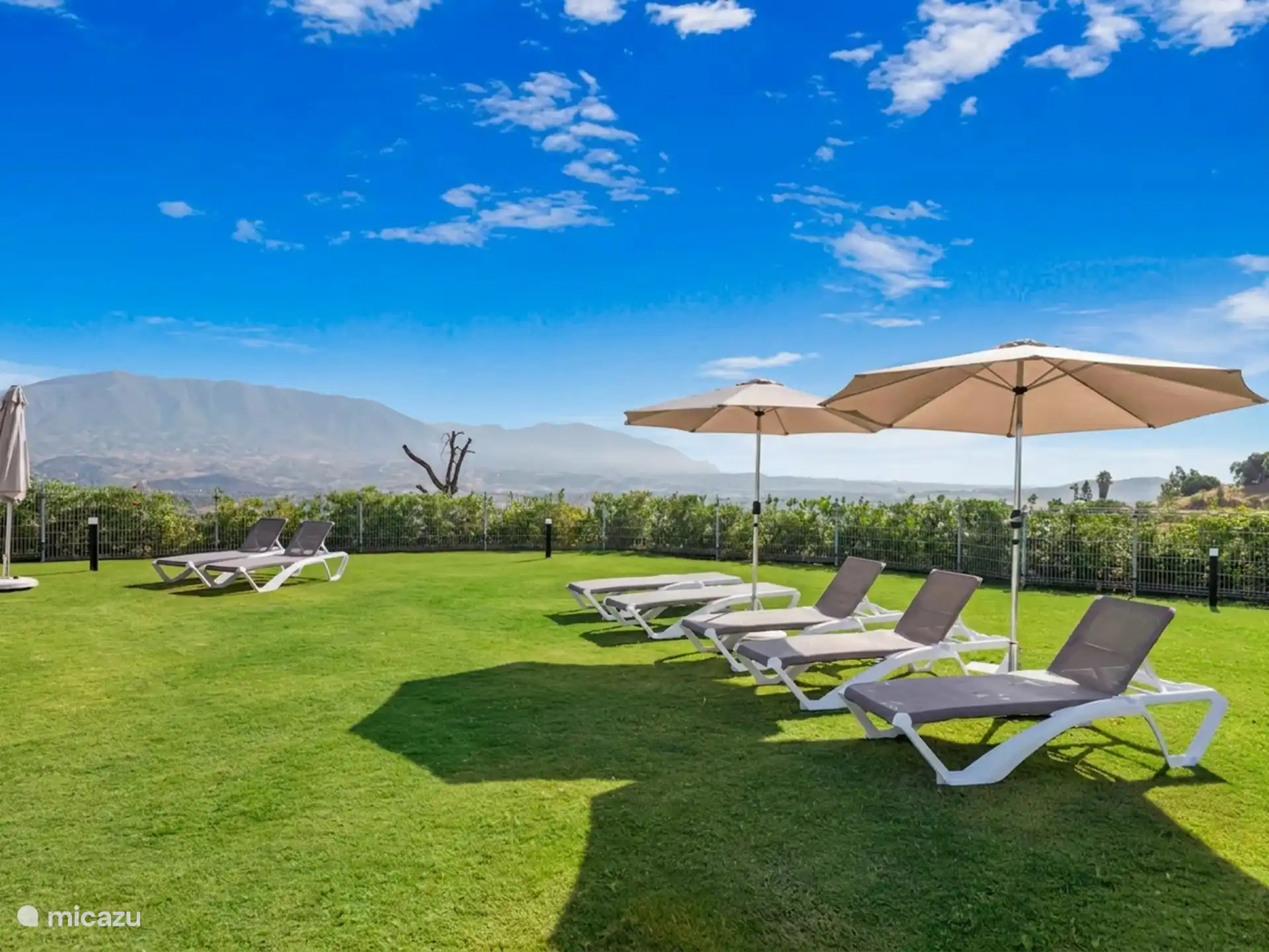 Sunbathing area by the pool with sun loungers and parasols