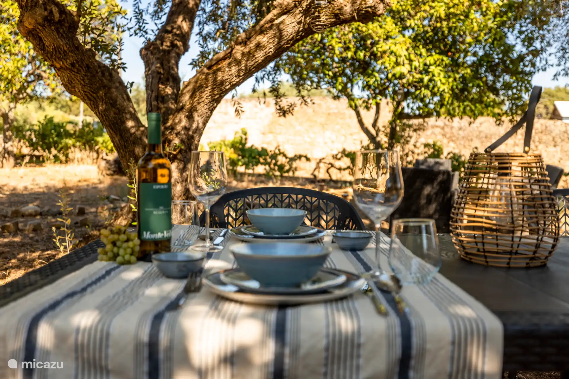 Disfruta de una larga cena bajo los olivos