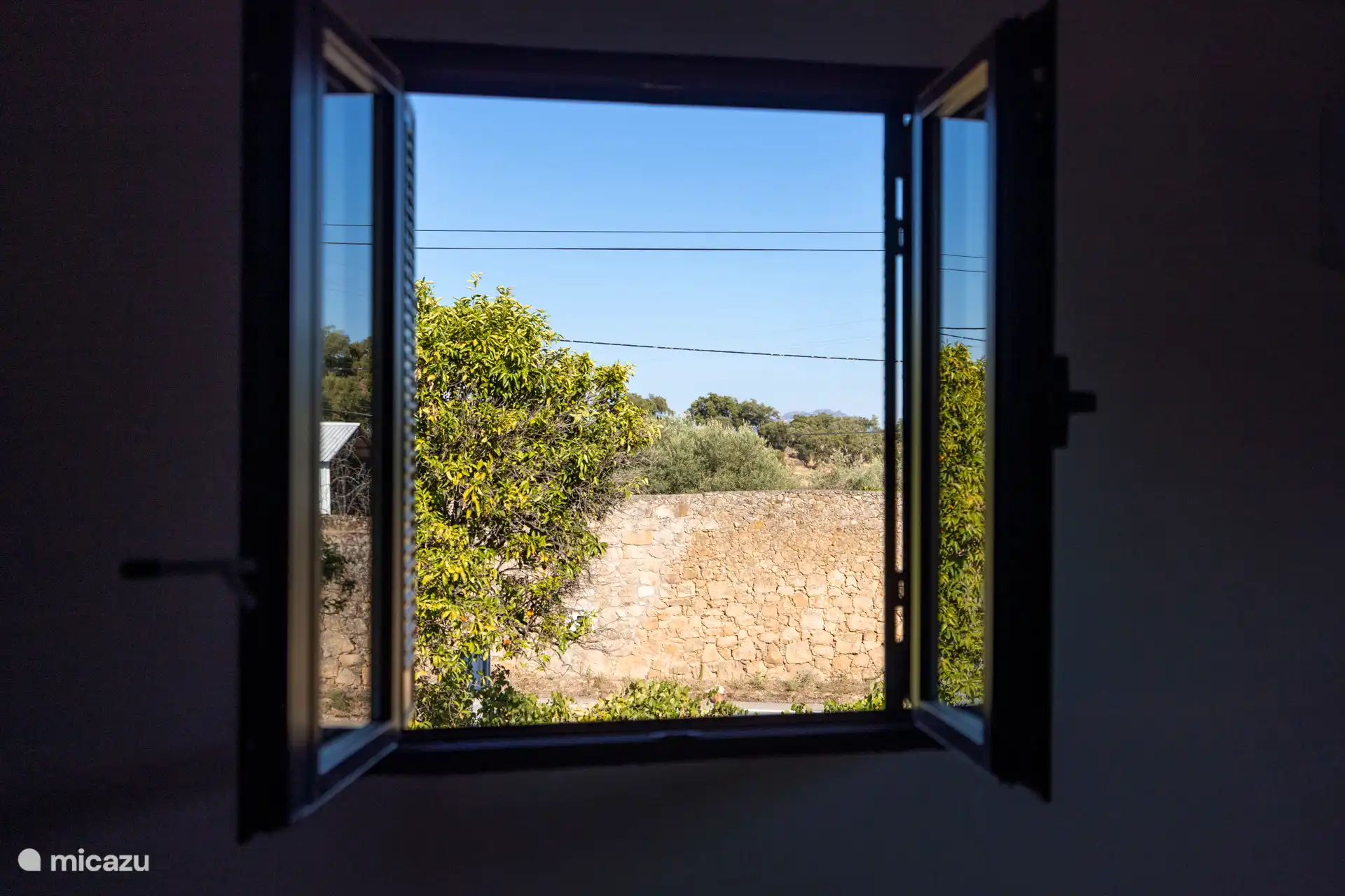 Vista de Monsanto
