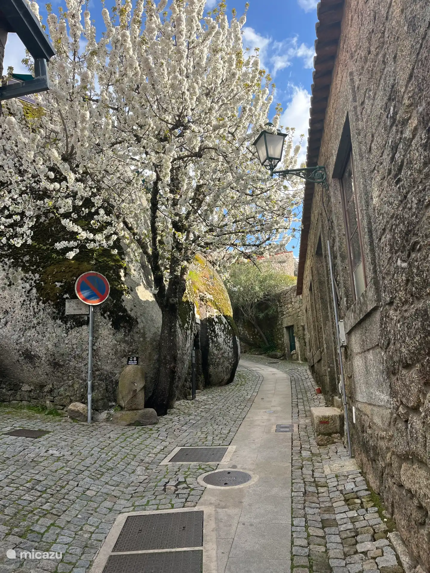 Paseando por las calles de Monsanto