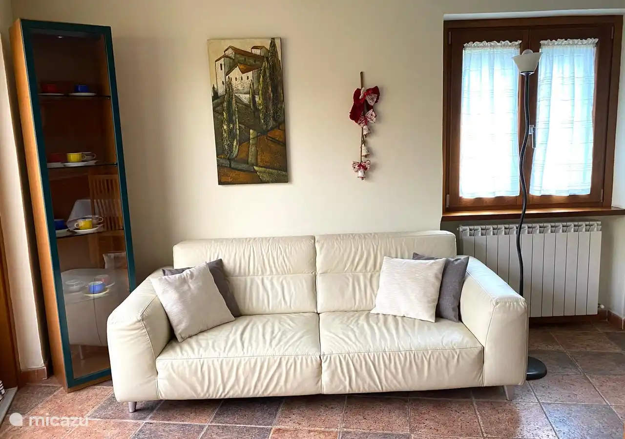 Sofa bed in the kitchen-living room