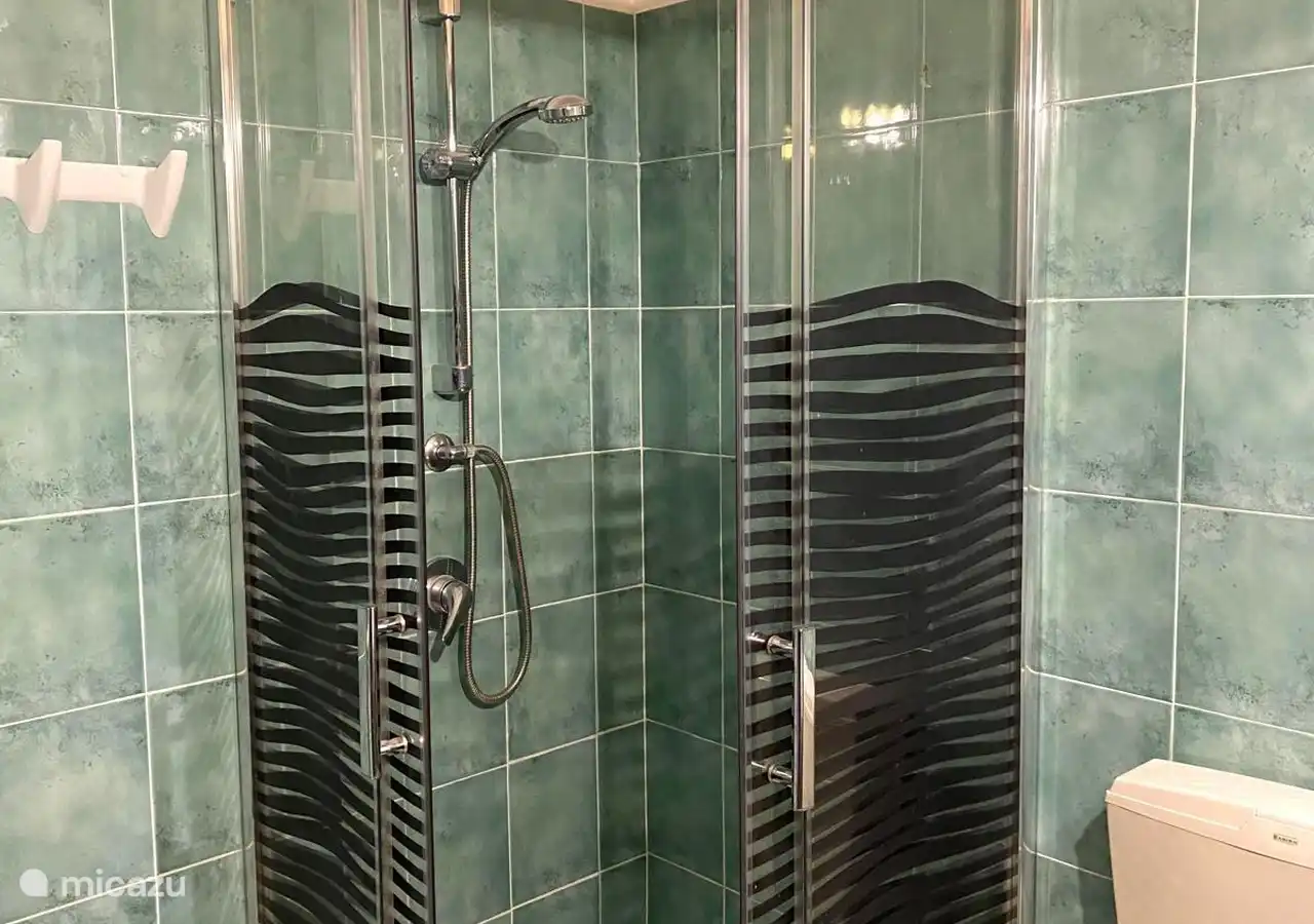 Shower box in the bathroom