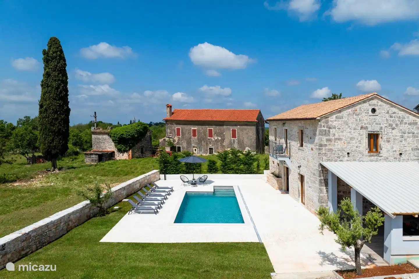 piscina + terraza + jardín