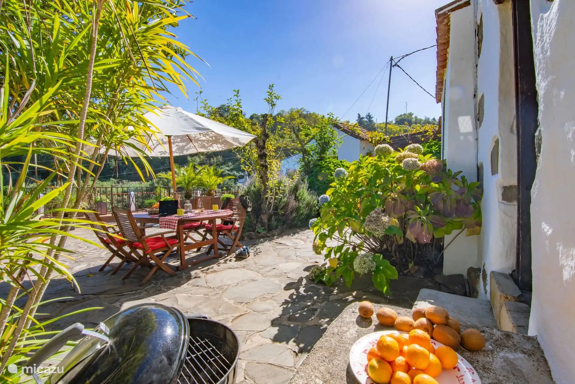 Terras met BBQ en fruitboomtuin