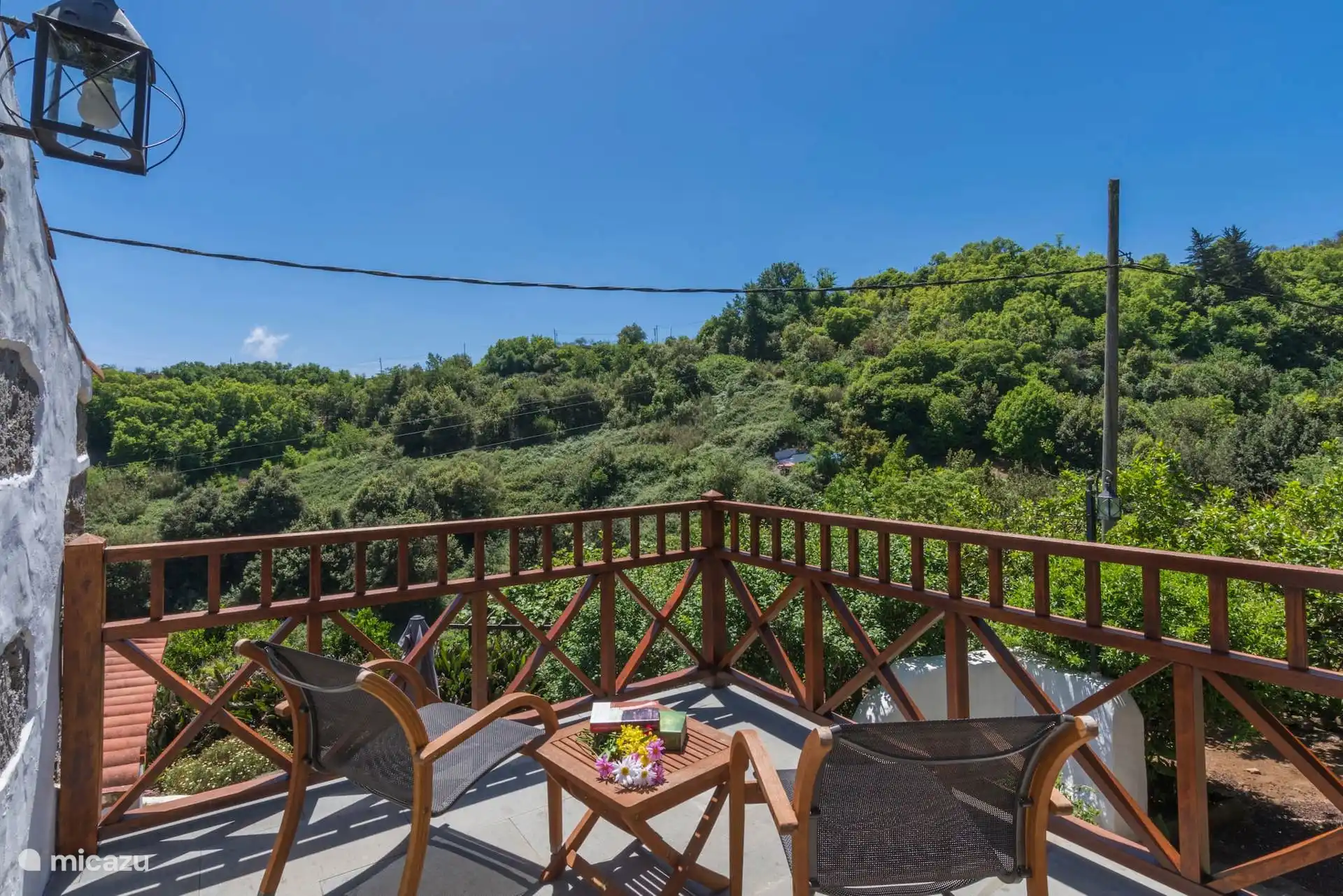 Terras met uitzicht op het groen van de kloof