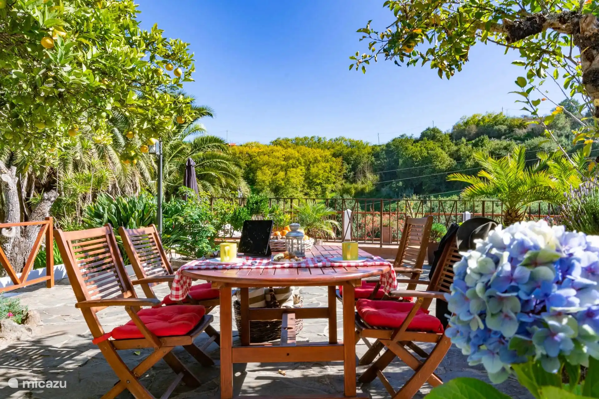 Terras met buiteneetgedeelte en tuin met hortensia's