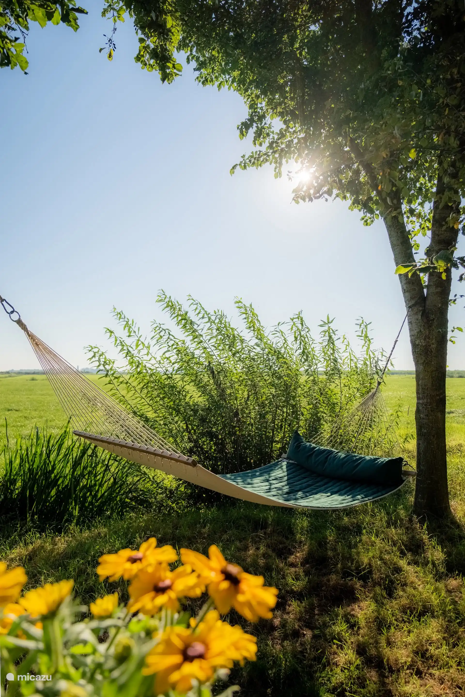 Tuin met bloemen en een hangmat om heerlijk te ontspannen.