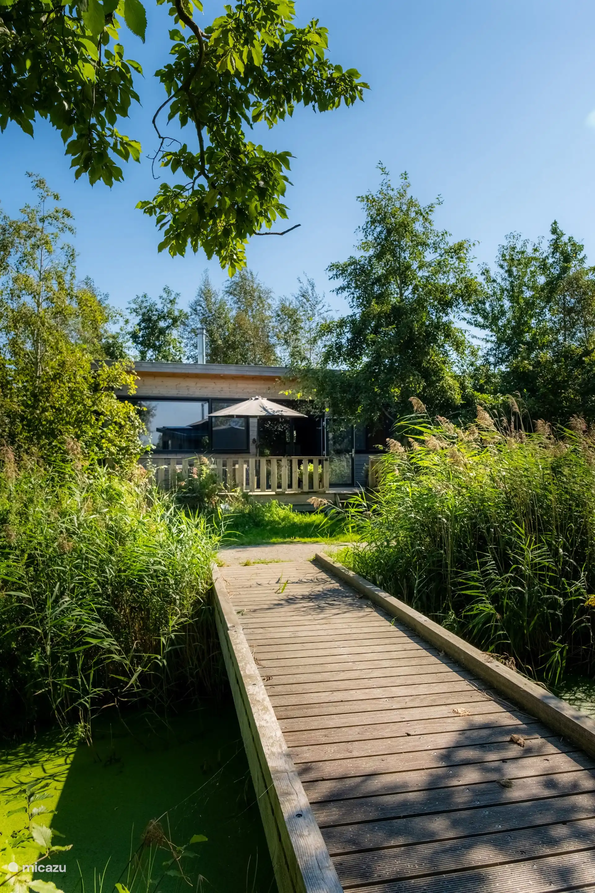 De lodge tussen het groen van de tuin.