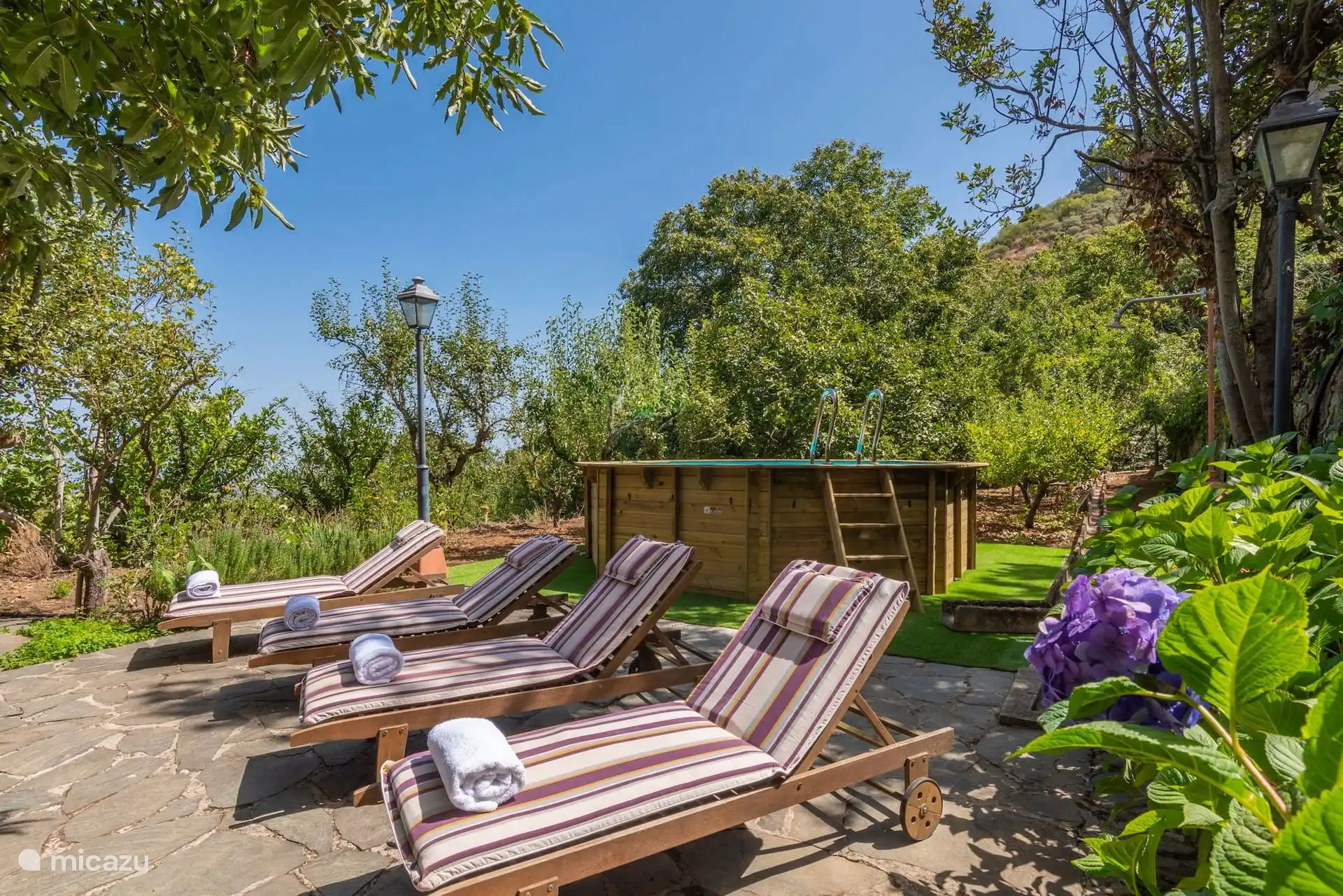 Solarium area with sun loungers next to the orchard