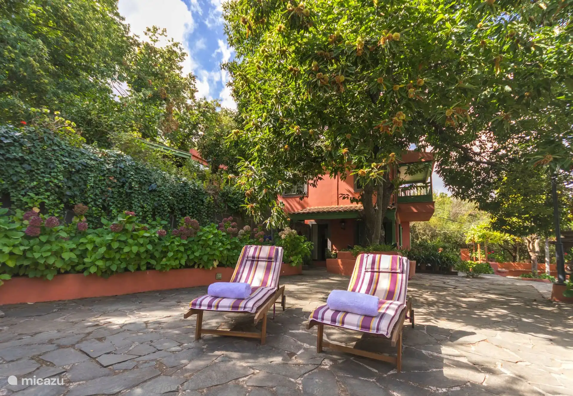Garden with sun loungers and cobbled path among the greenery