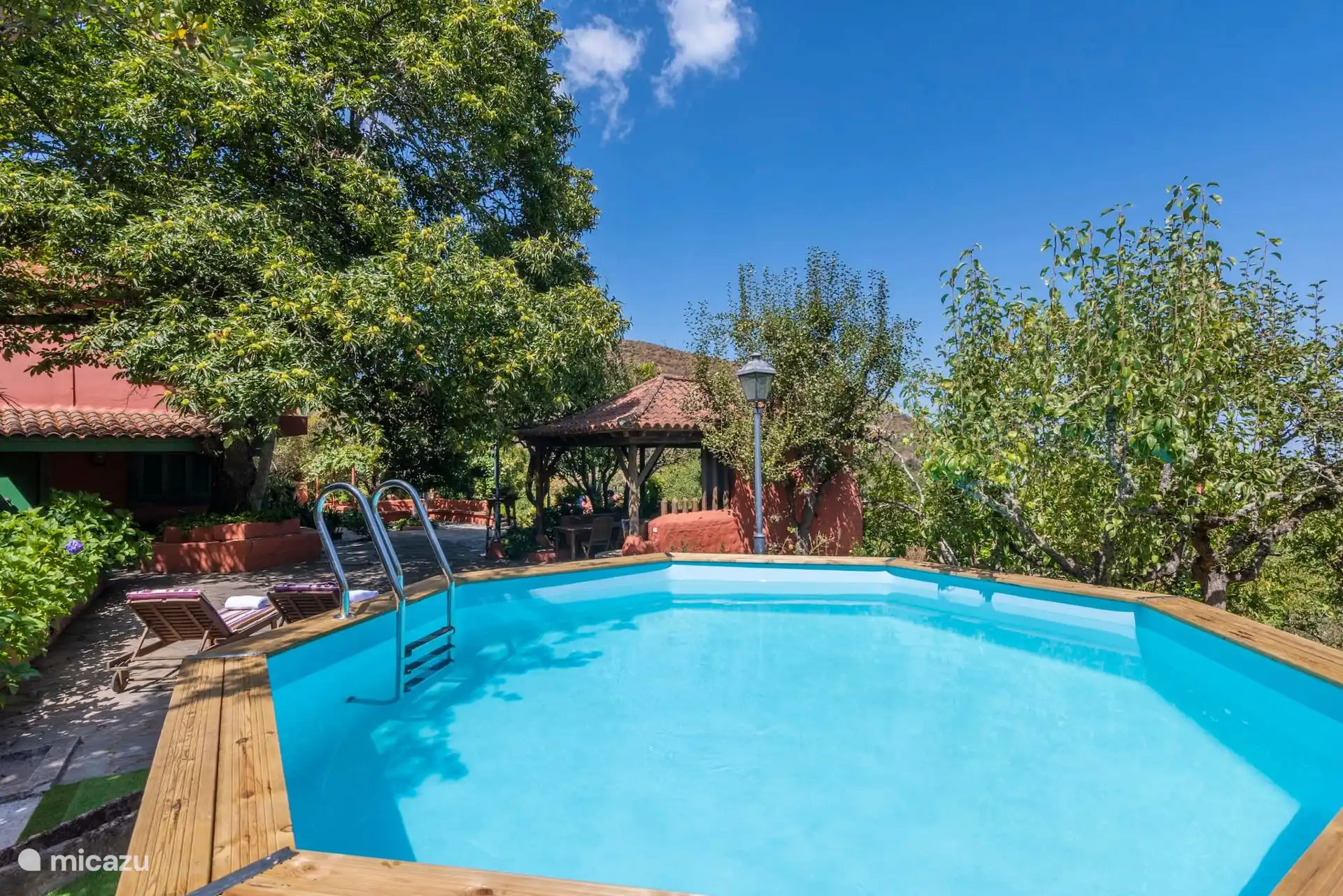 Removable pool with ladder, surrounded by fruit trees