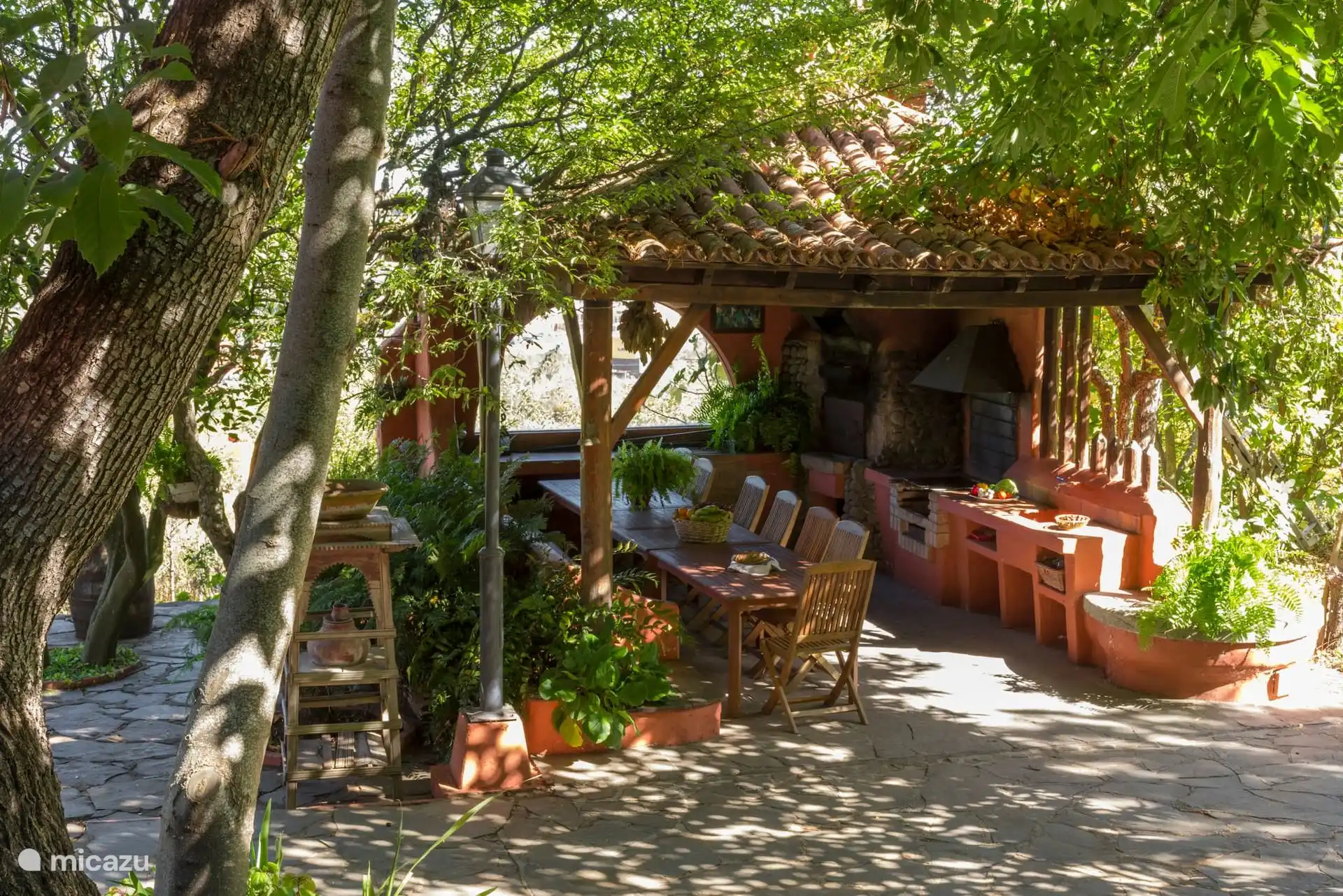 Outdoor dining area under the fruit trees
