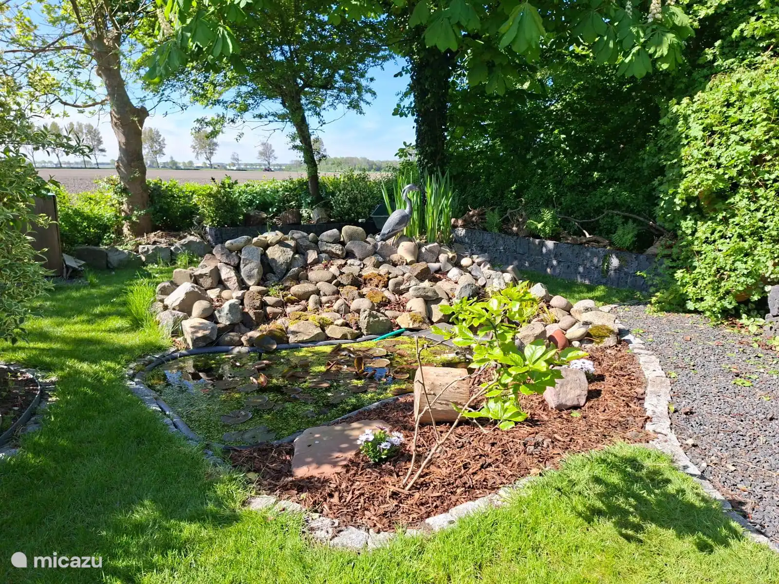 rock pond